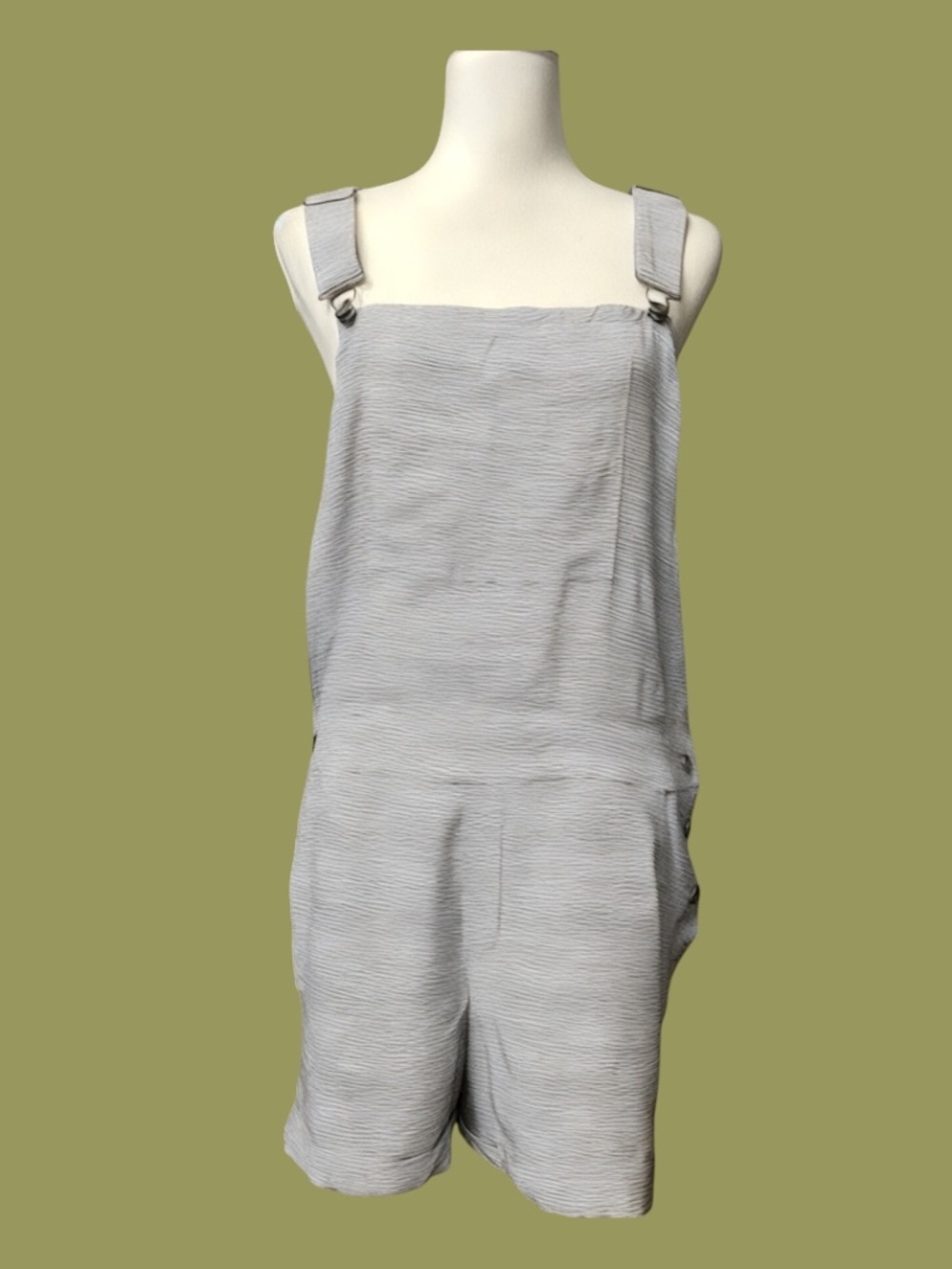 Splendid High-Back Shortalls